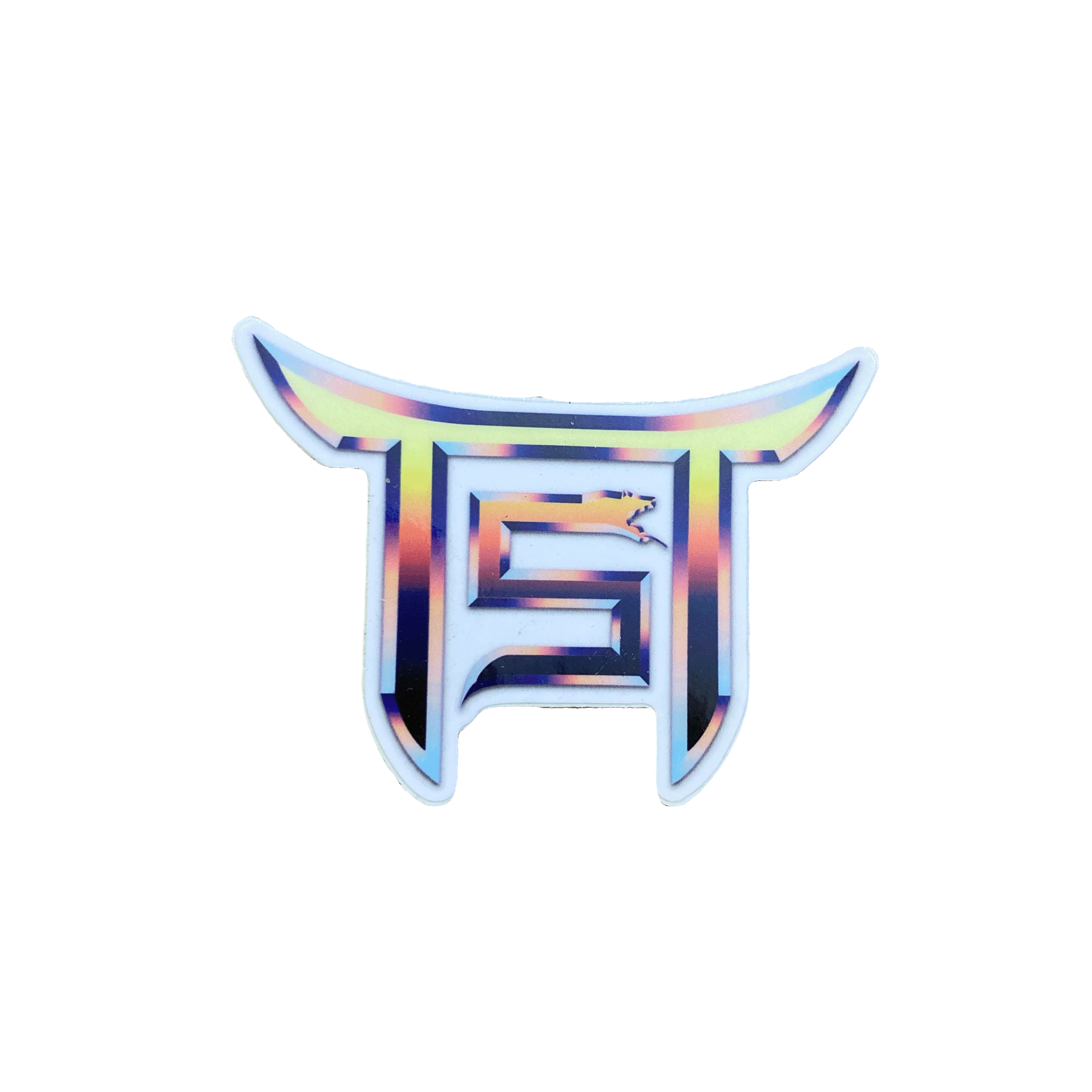 TST Logo Sticker